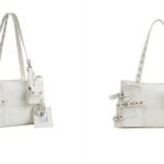 Samsung and DOMINNICO